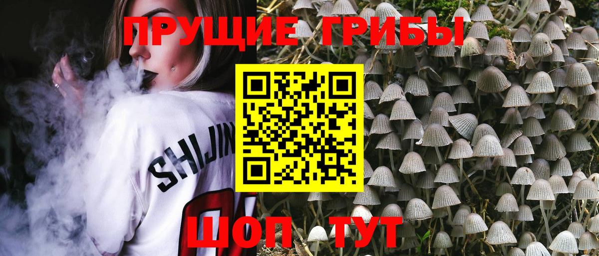 Галлюциногенные грибы GOLDEN TEACHER Дивногорск